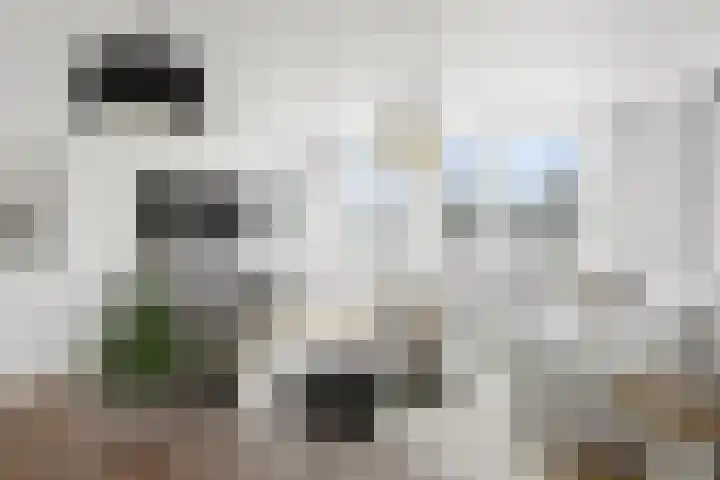 Schepen Oppenwervestraat 101 Arnhem thumbnail 11