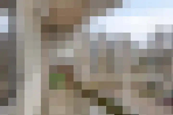 Schepen Oppenwervestraat 101 Arnhem thumbnail 23