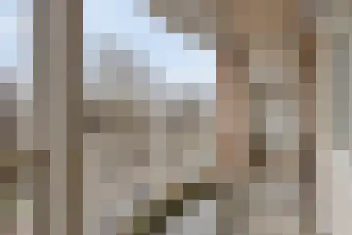Schepen Oppenwervestraat 101 Arnhem thumbnail 4