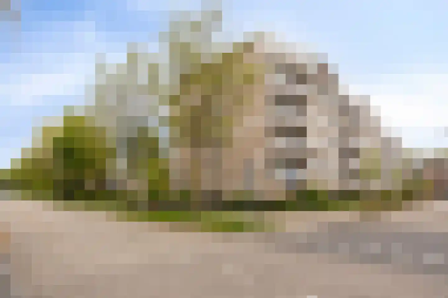 Schepen Oppenwervestraat 113 Arnhem thumbnail 20