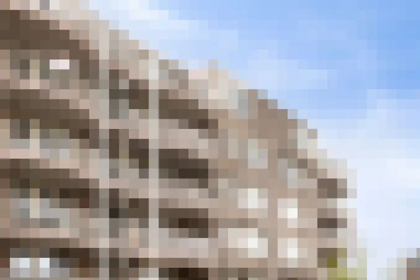 Schepen Oppenwervestraat 113 Arnhem thumbnail 24