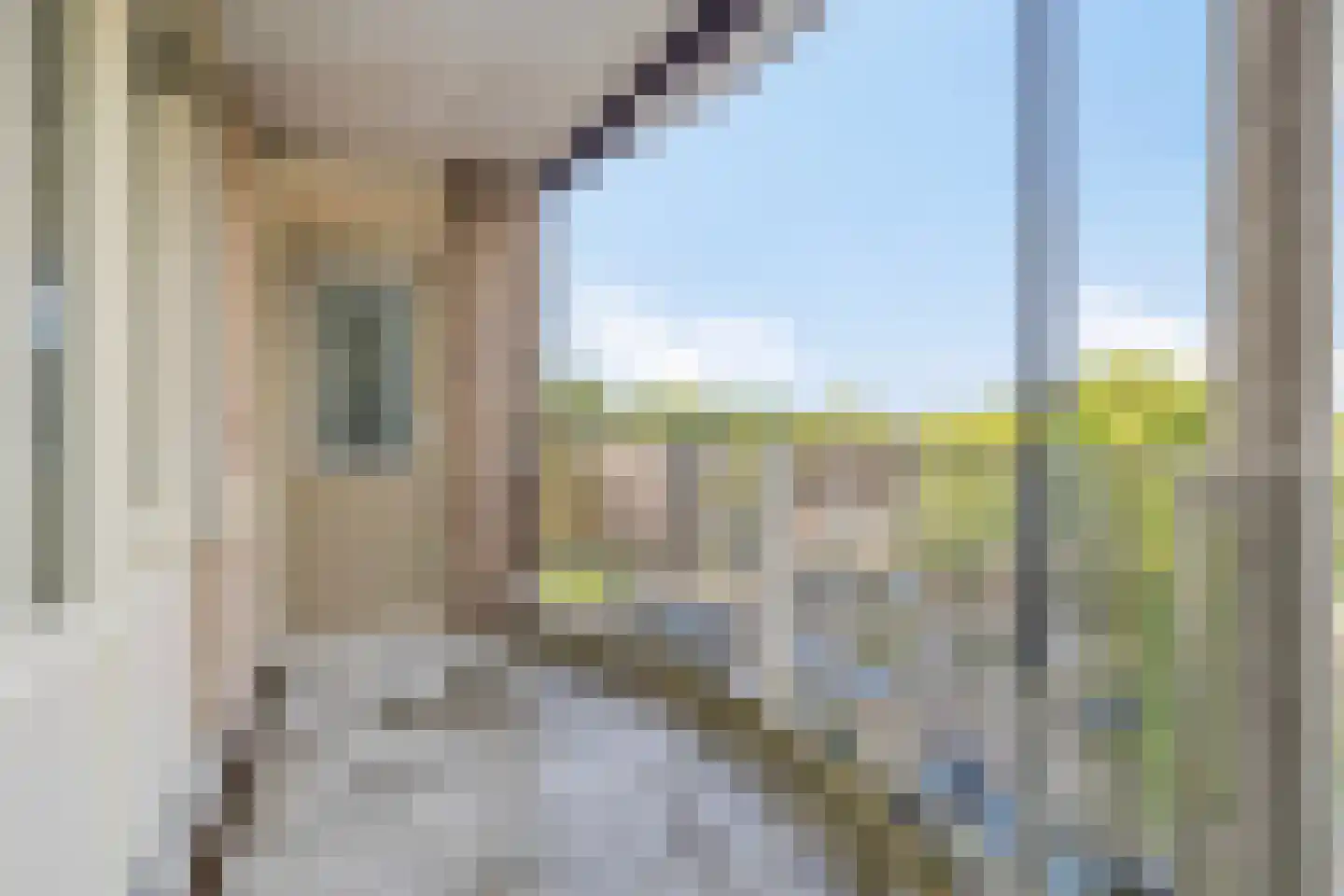 Schepen Oppenwervestraat 119 Arnhem thumbnail 5