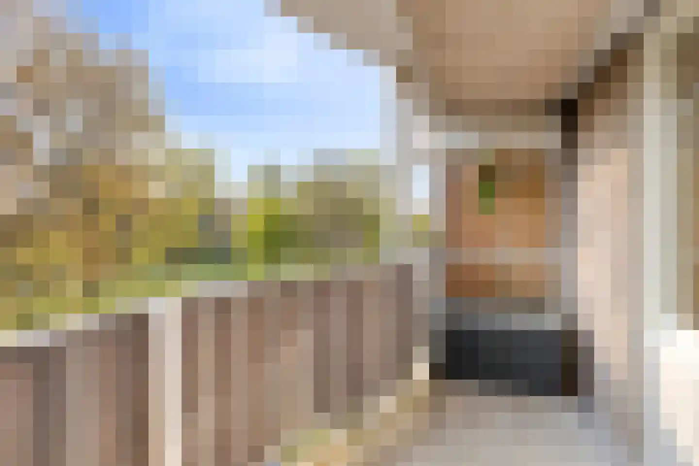 Schepen Oppenwervestraat 77 Arnhem thumbnail 5