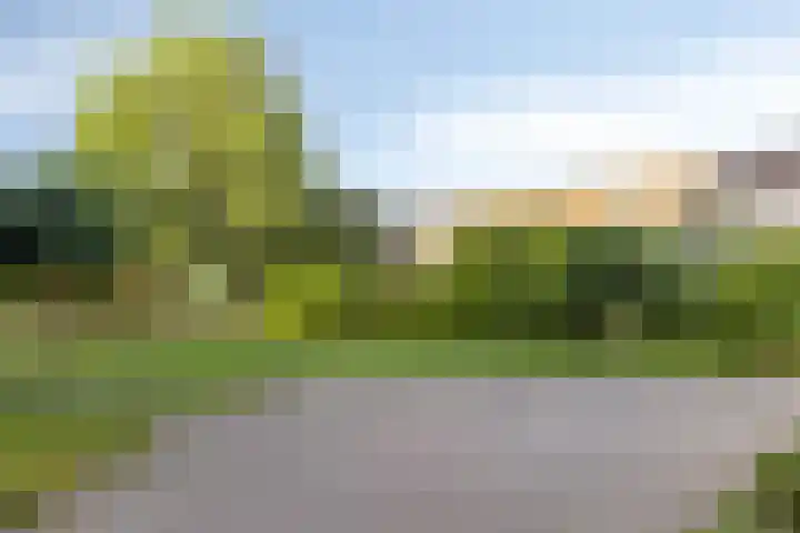 Schepen Oppenwervestraat 87 Arnhem thumbnail 17