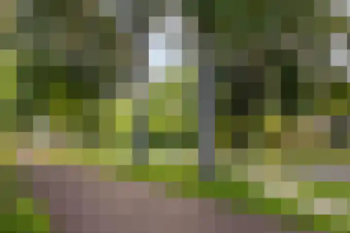 Schepen Oppenwervestraat 87 Arnhem thumbnail 18