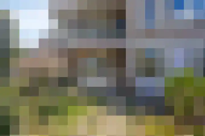 Schepen Oppenwervestraat 9 Arnhem thumbnail 5