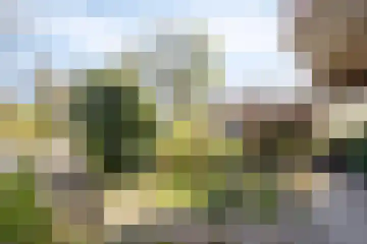 Schepen Oppenwervestraat 9 Arnhem thumbnail 6