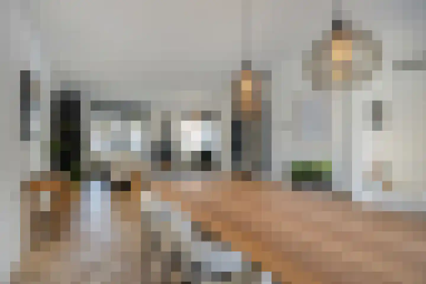 Schepen Smitslaan 9 Nuenen thumbnail 12