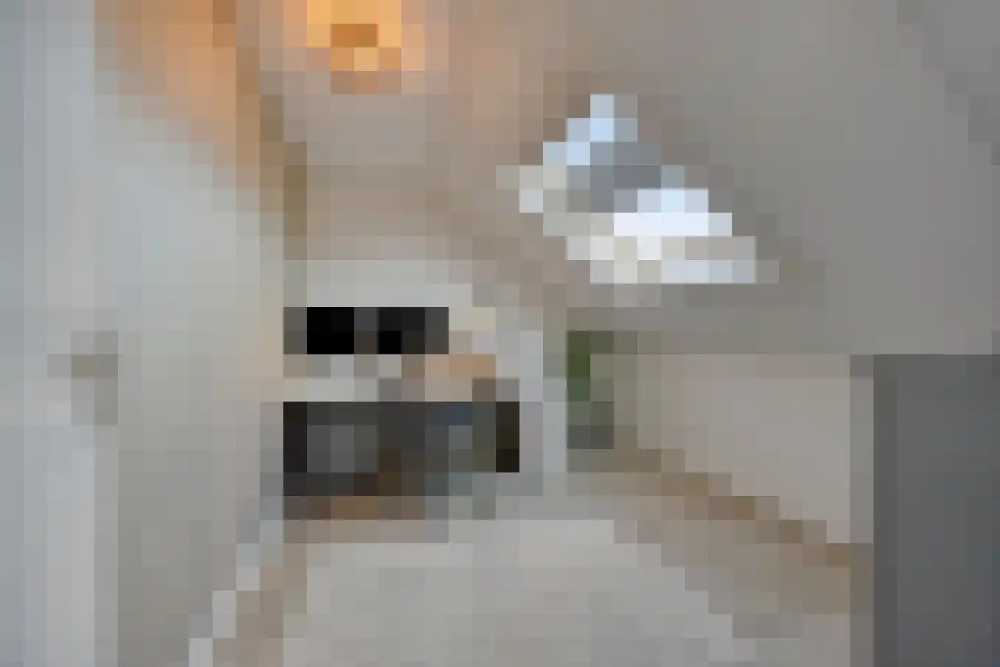Schepen Smitslaan 9 Nuenen thumbnail 31