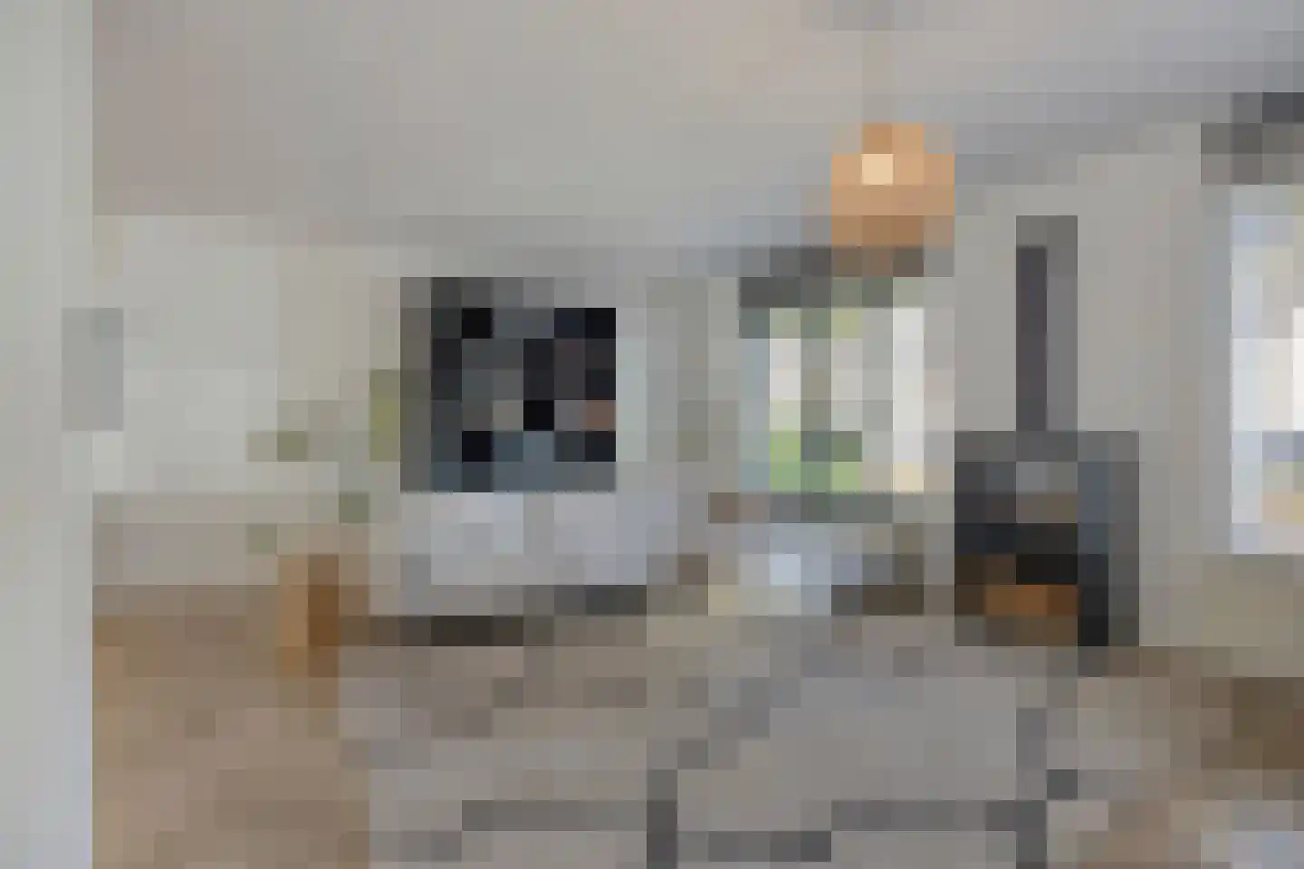 Schepen Smitslaan 9 Nuenen thumbnail 7