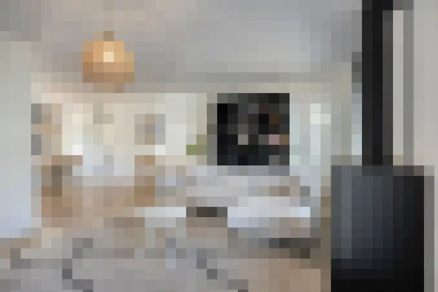 Schepen Smitslaan 9 Nuenen thumbnail 9