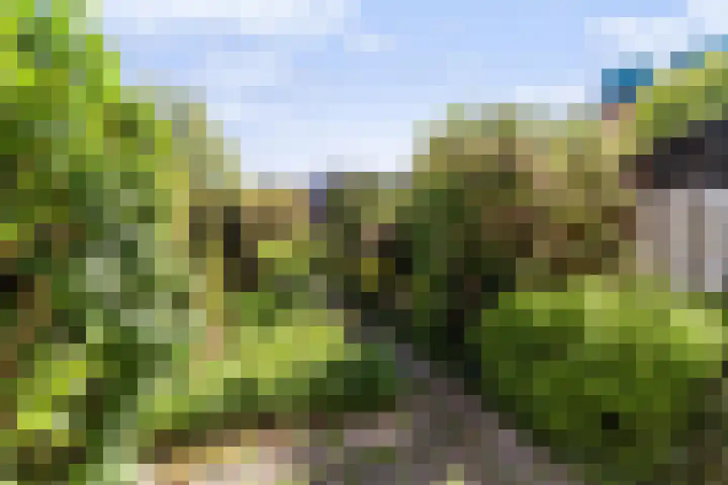 Schepen te Boeckoppad 75 Arnhem thumbnail 33