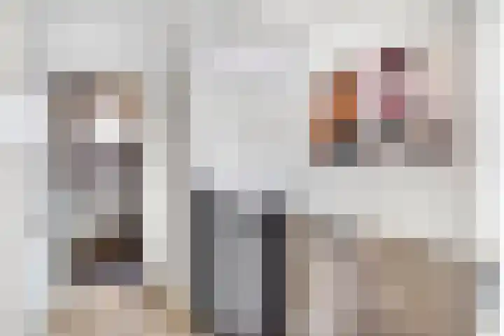 Schepen van Allerpad 2 Arnhem thumbnail 11