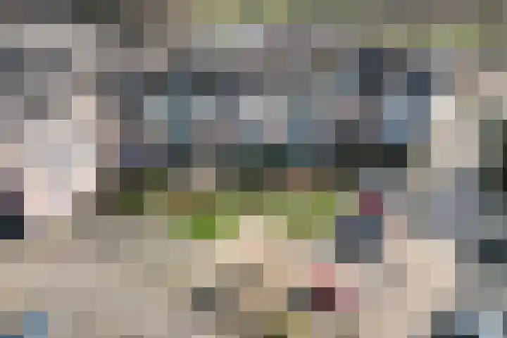 Schepen van Allerpad 2 Arnhem thumbnail 24