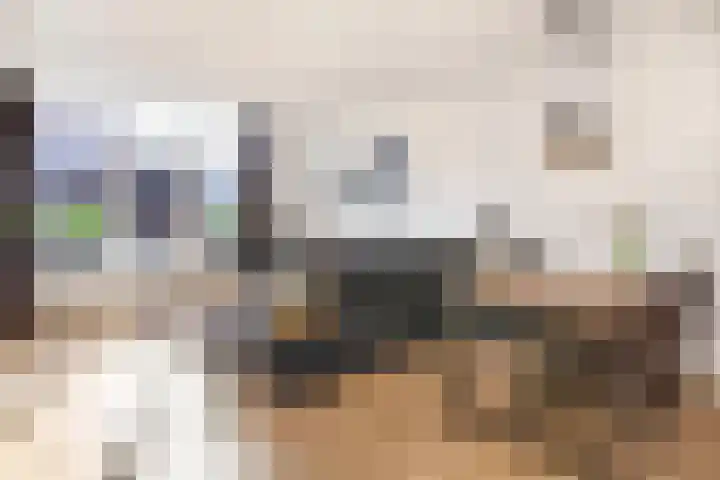 Schepen van Allerpad 2 Arnhem thumbnail 4