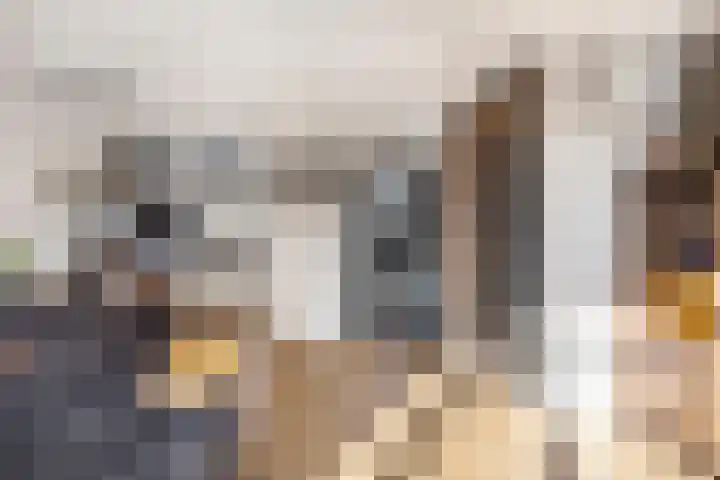 Schepen van Allerpad 2 Arnhem thumbnail 7