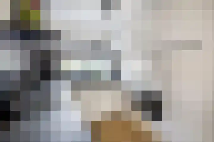 Schepen van Allerpad 2 Arnhem thumbnail 9