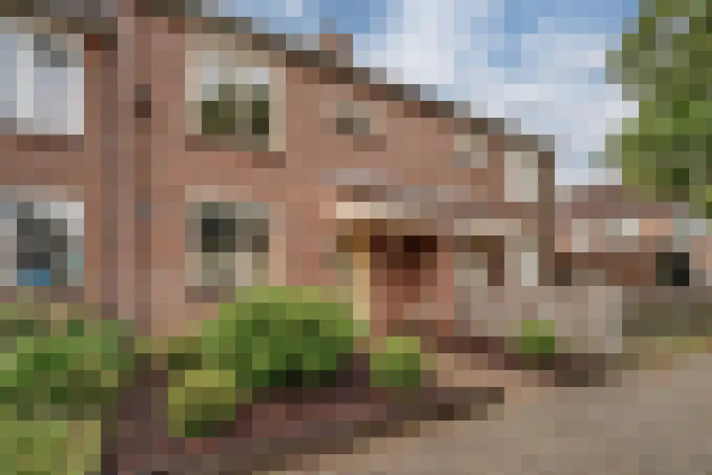 Schepen van der Camerstraat 17 Arnhem