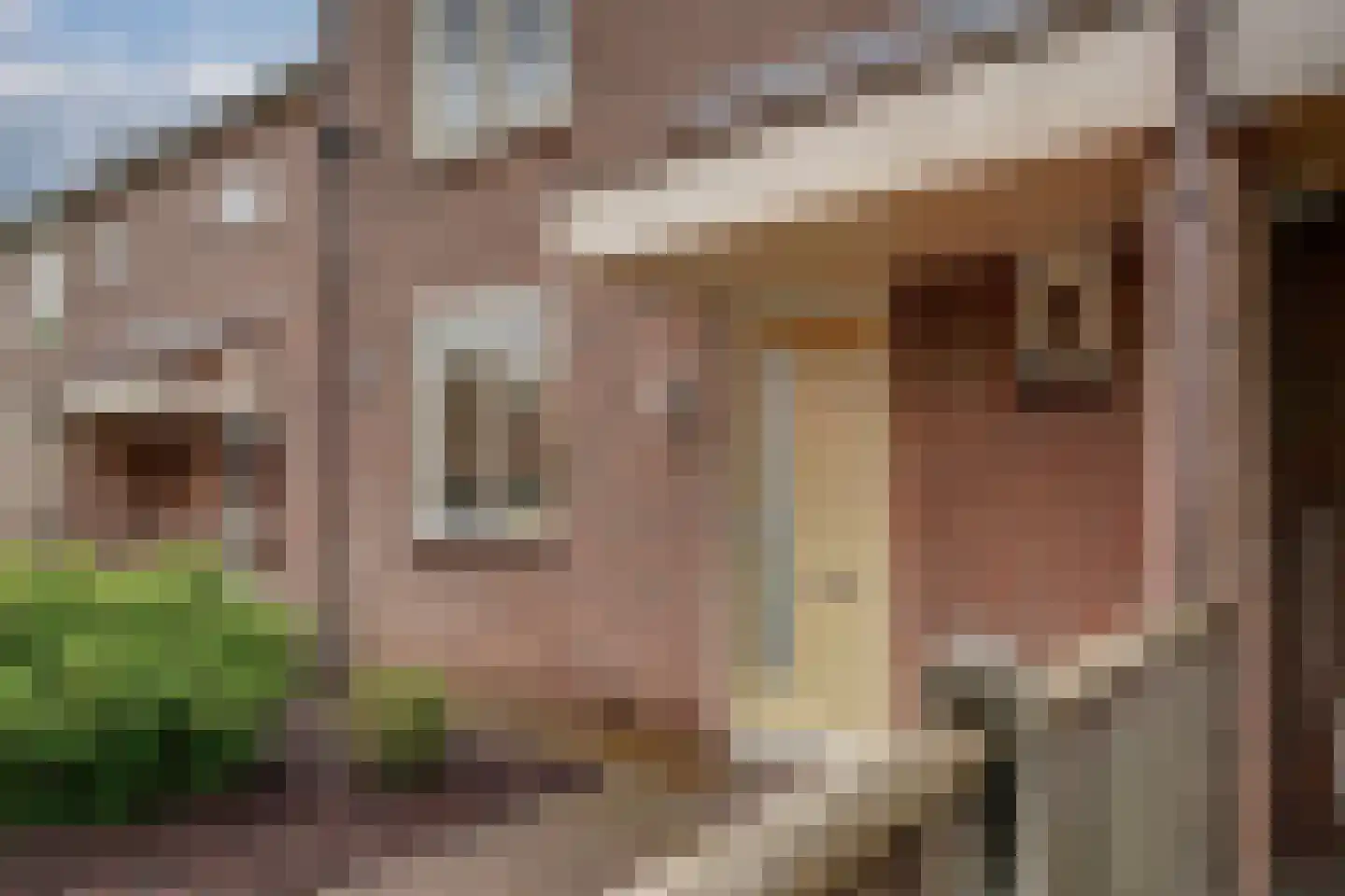 Schepen van der Camerstraat 17 Arnhem thumbnail 12