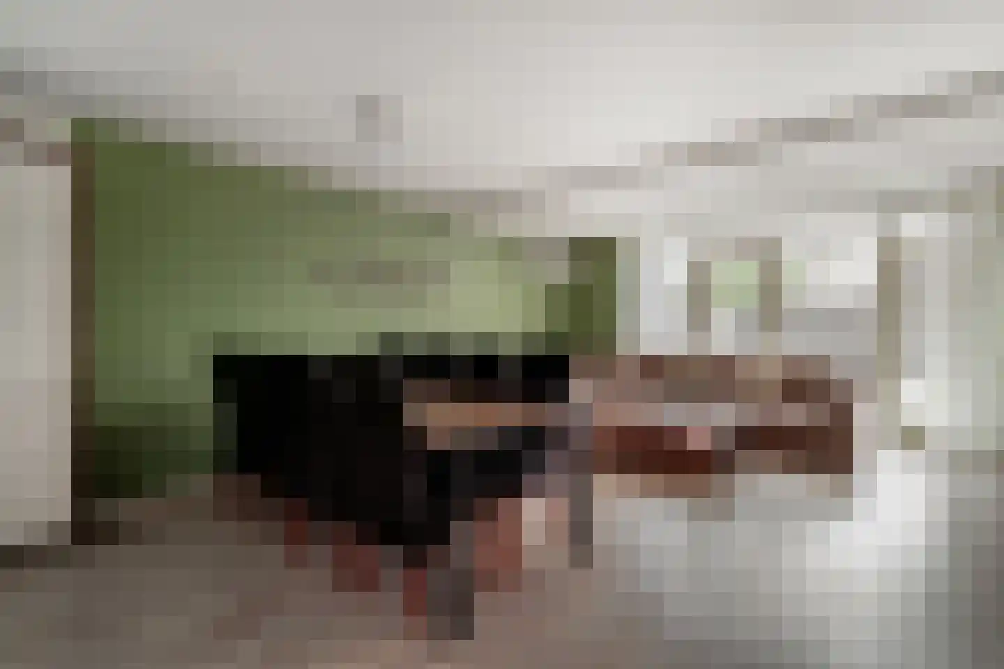 Schepen van der Camerstraat 17 Arnhem thumbnail 18