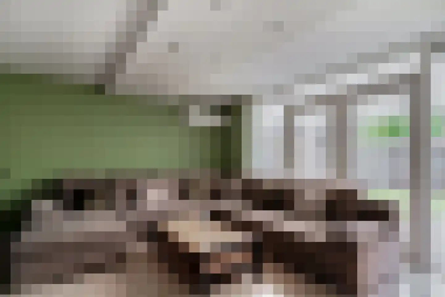 Schepen van der Camerstraat 17 Arnhem thumbnail 27