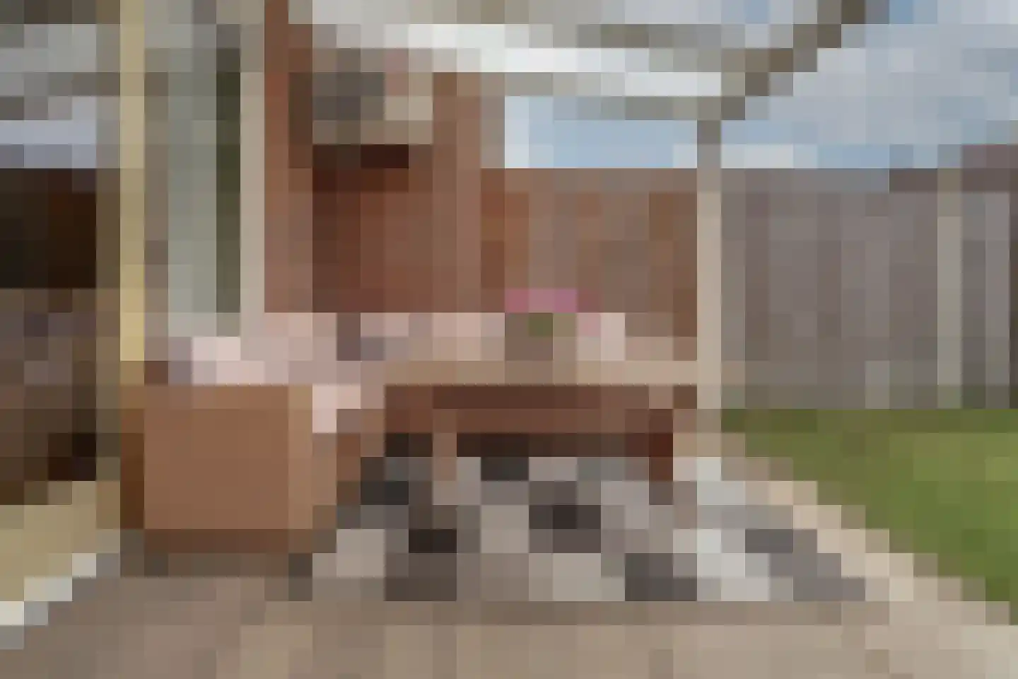 Schepen van der Camerstraat 17 Arnhem thumbnail 30