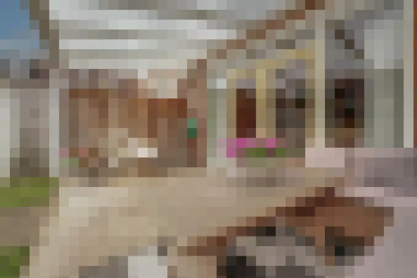 Schepen van der Camerstraat 17 Arnhem thumbnail 31