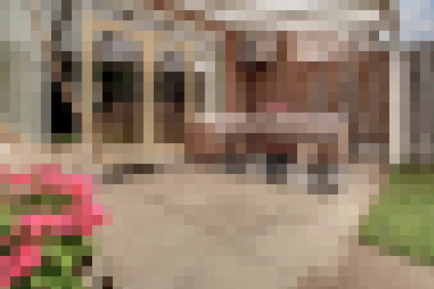 Schepen van der Camerstraat 17 Arnhem thumbnail 36