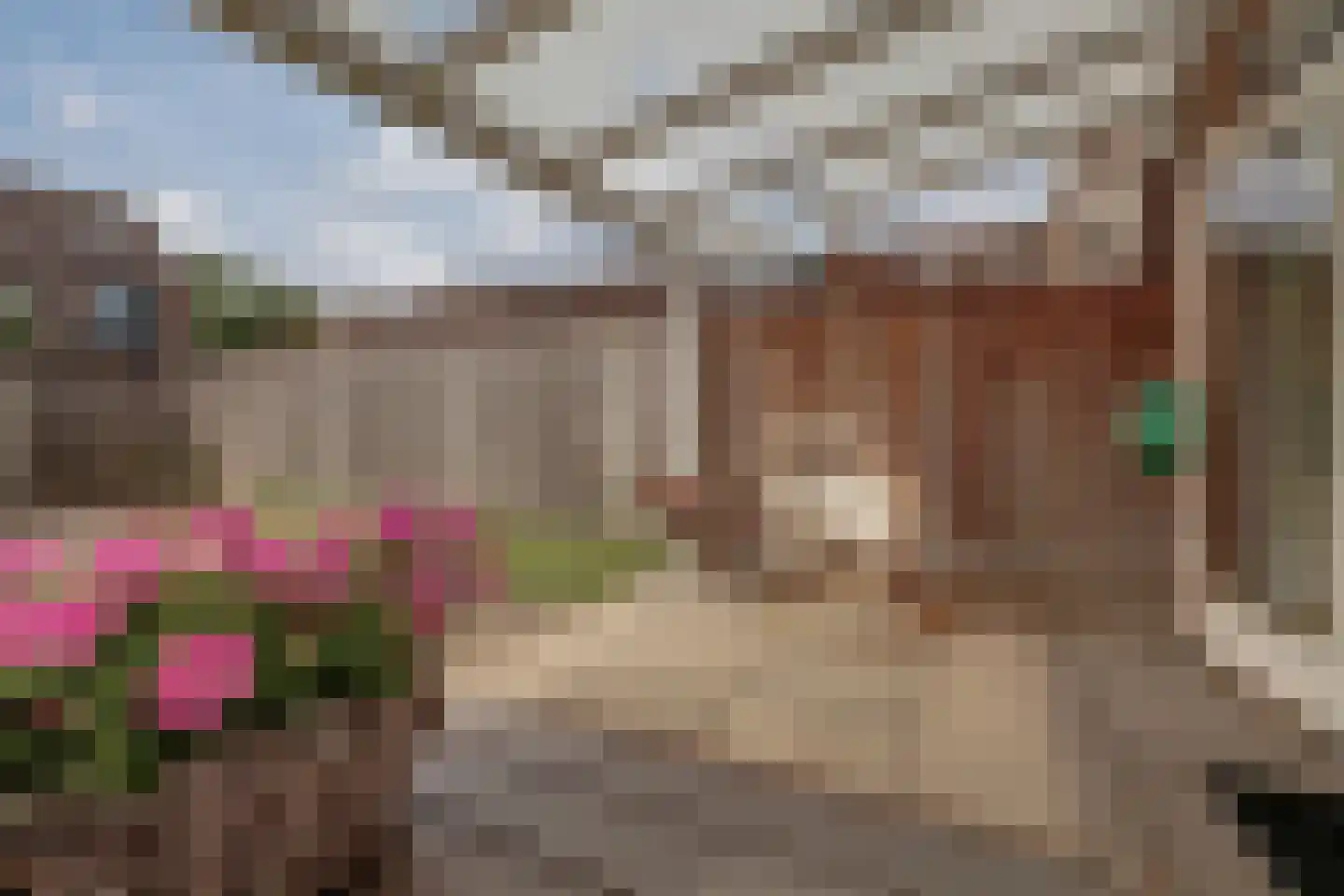 Schepen van der Camerstraat 17 Arnhem thumbnail 37