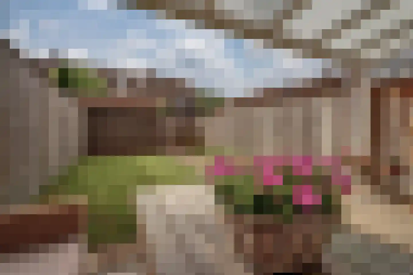 Schepen van der Camerstraat 17 Arnhem thumbnail 38