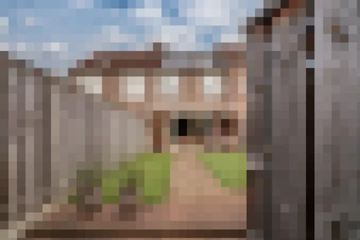 Schepen van der Camerstraat 17 Arnhem thumbnail 39