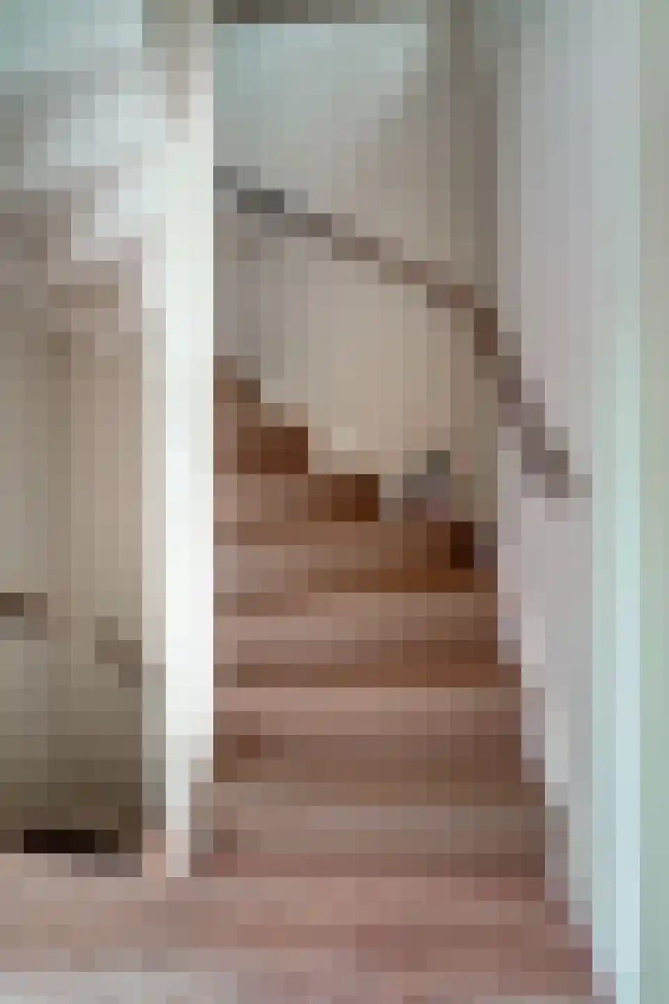Schepen van der Camerstraat 17 Arnhem thumbnail 41