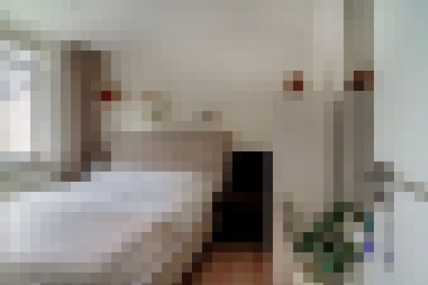Schepen van der Camerstraat 17 Arnhem thumbnail 50