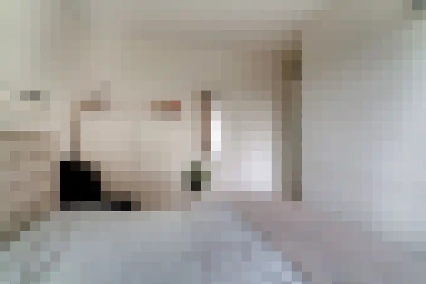 Schepen van der Camerstraat 17 Arnhem thumbnail 52