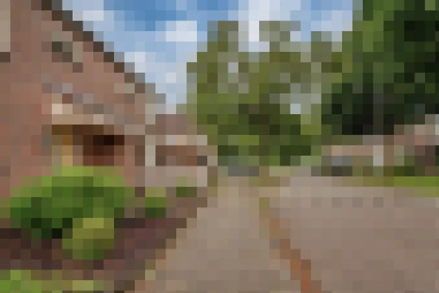 Schepen van der Camerstraat 17 Arnhem thumbnail 7