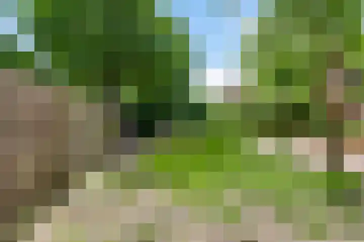 Schepen van der Smitzenstraat 3 Roermond thumbnail 24