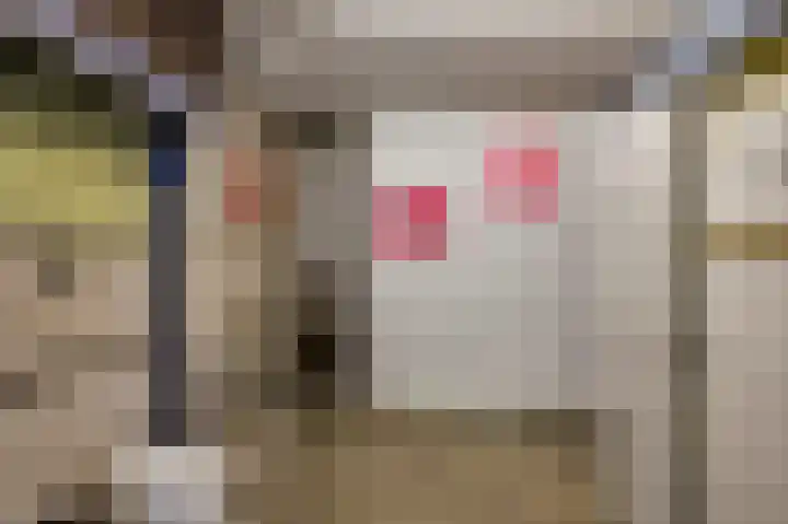 Schepen van der Smitzenstraat 3 Roermond thumbnail 9