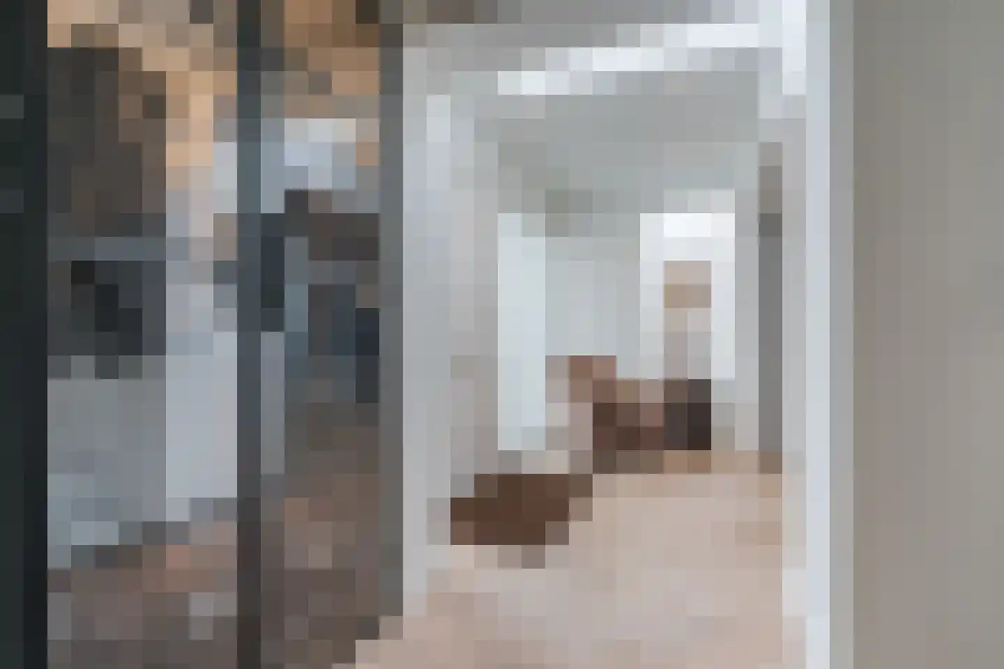 Schepen van Durenlaan 8 Nuenen thumbnail 12