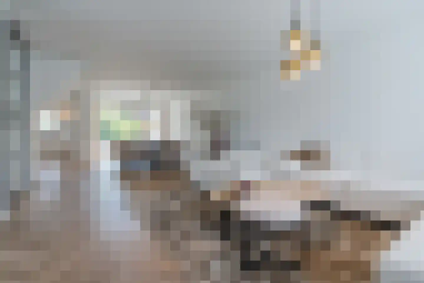 Schepen van Durenlaan 8 Nuenen thumbnail 20