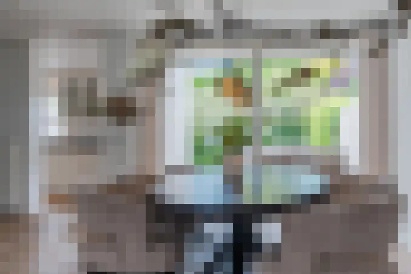 Schepen van Durenlaan 8 Nuenen thumbnail 25