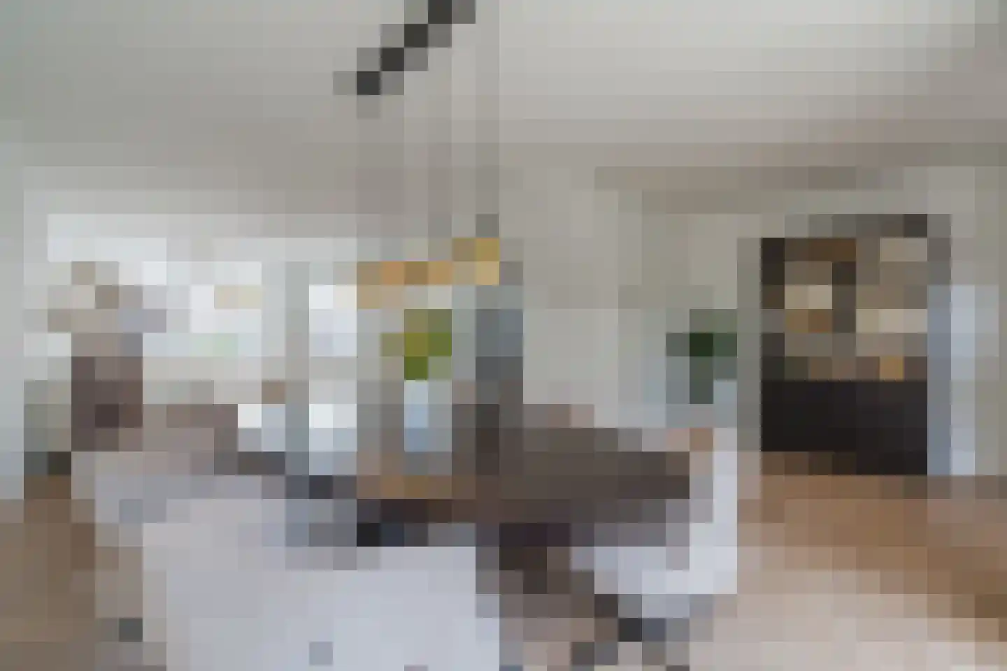 Schepen van Durenlaan 8 Nuenen thumbnail 30