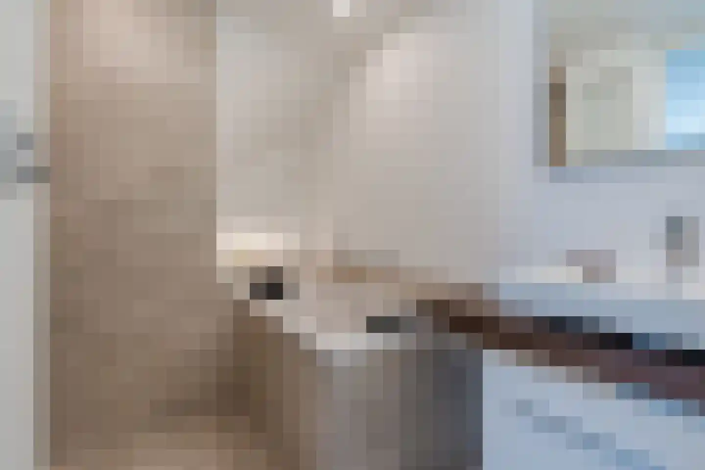 Schepen van Durenlaan 8 Nuenen thumbnail 31