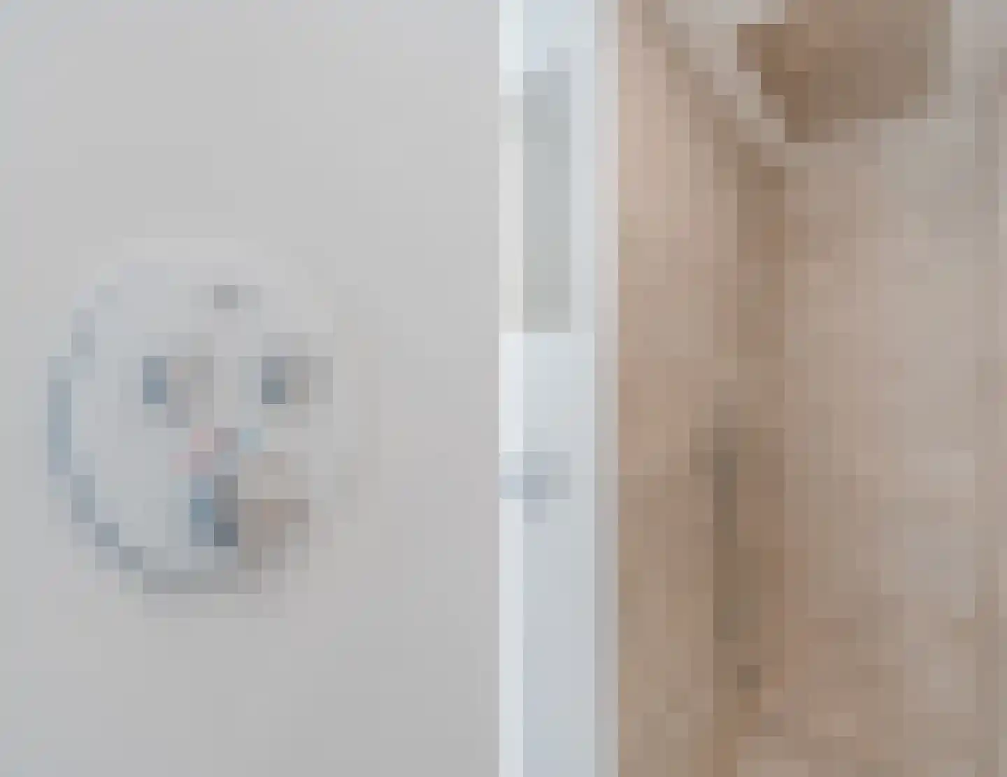 Schepen van Durenlaan 8 Nuenen thumbnail 33
