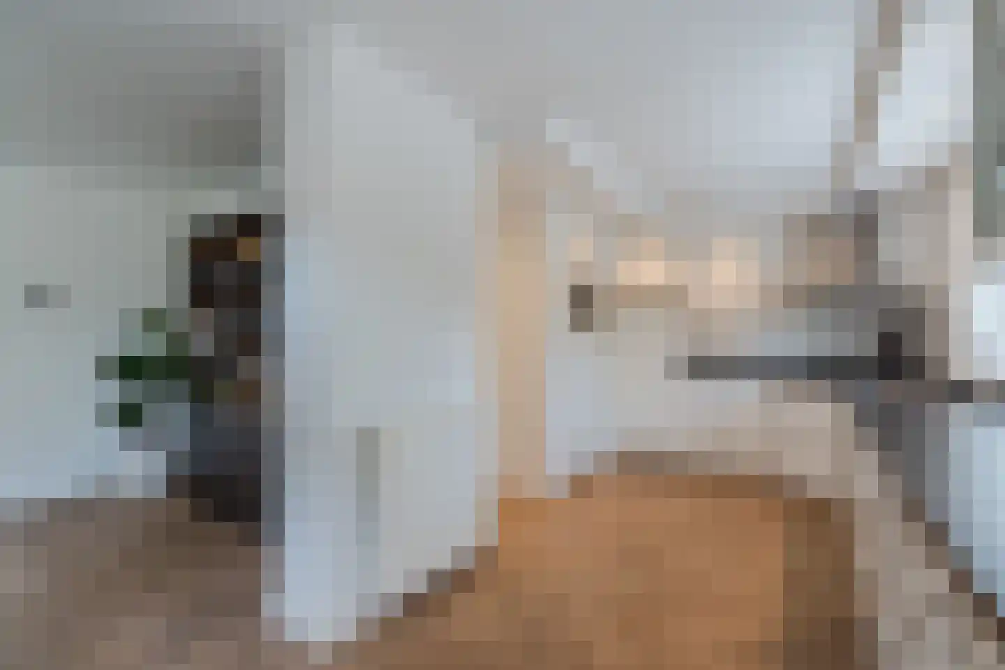 Schepen van Durenlaan 8 Nuenen thumbnail 34