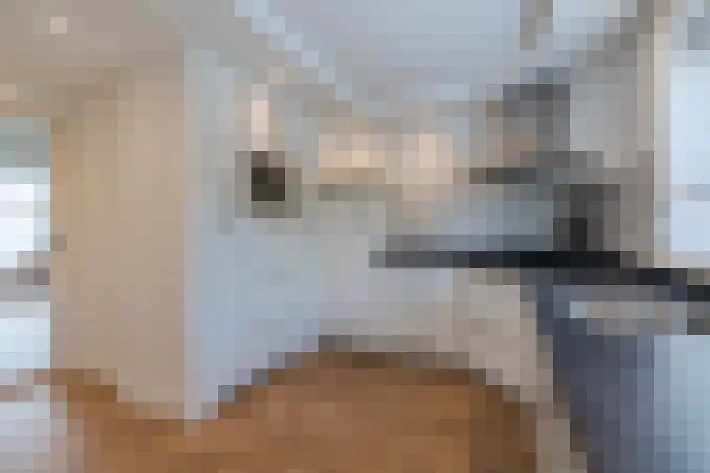 Schepen van Durenlaan 8 Nuenen thumbnail 36