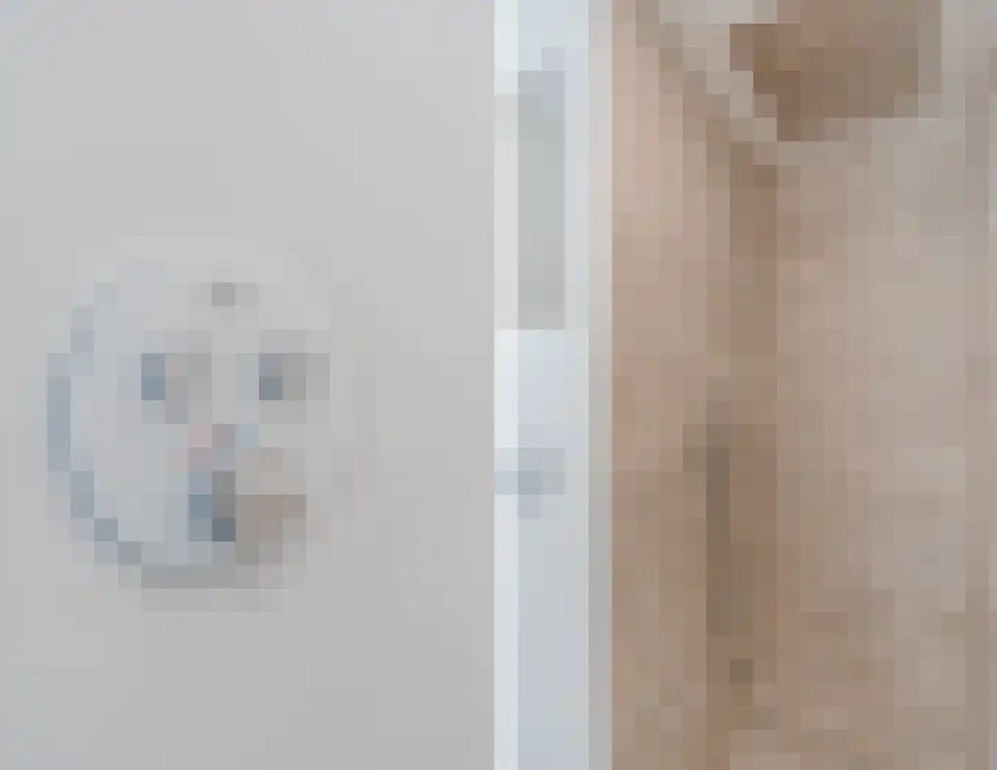 Schepen van Durenlaan 8 Nuenen thumbnail 56