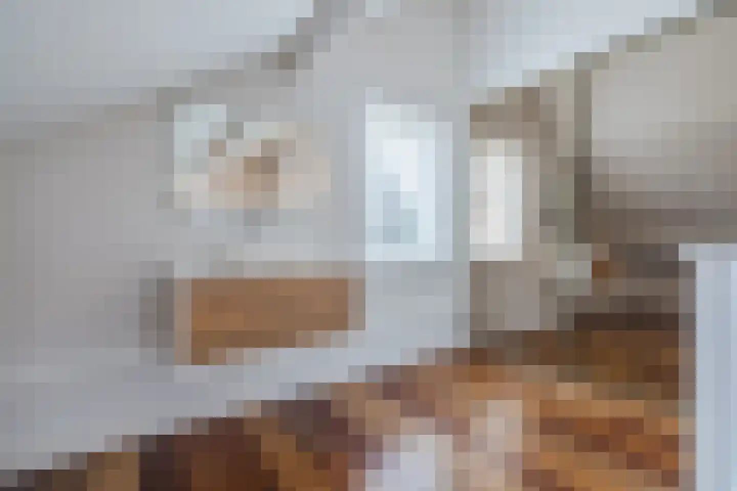 Schepen van Durenlaan 8 Nuenen thumbnail 65