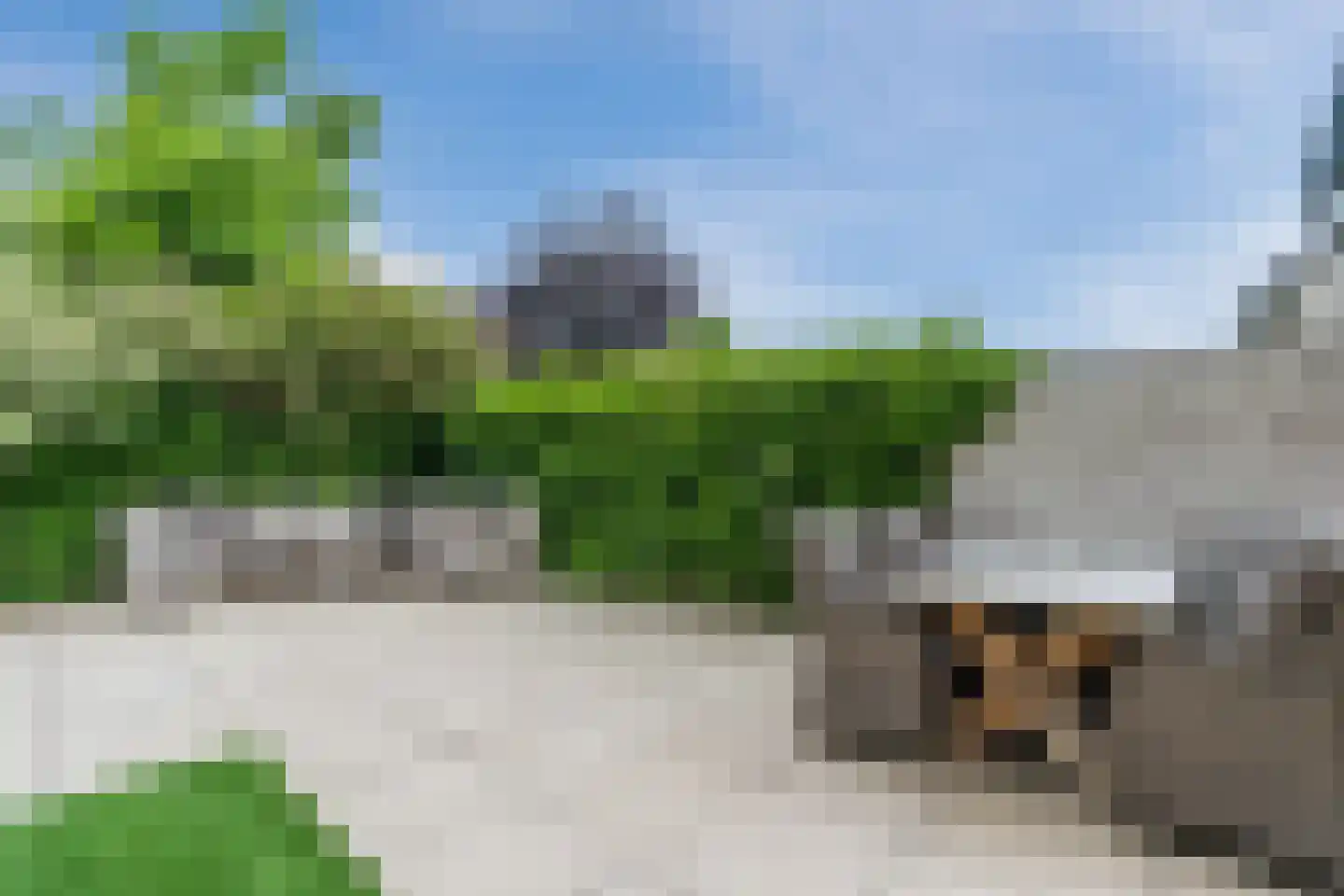 Schepen van Durenlaan 8 Nuenen thumbnail 69