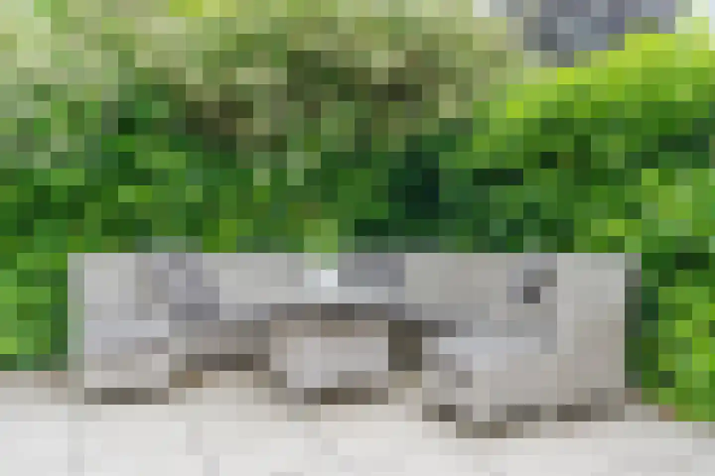 Schepen van Durenlaan 8 Nuenen thumbnail 70