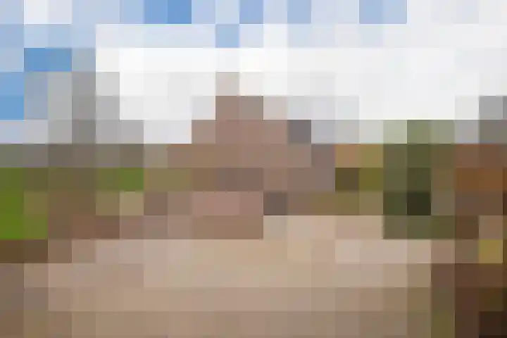 Schepen van Hemerthstraat 46 Arnhem thumbnail 9
